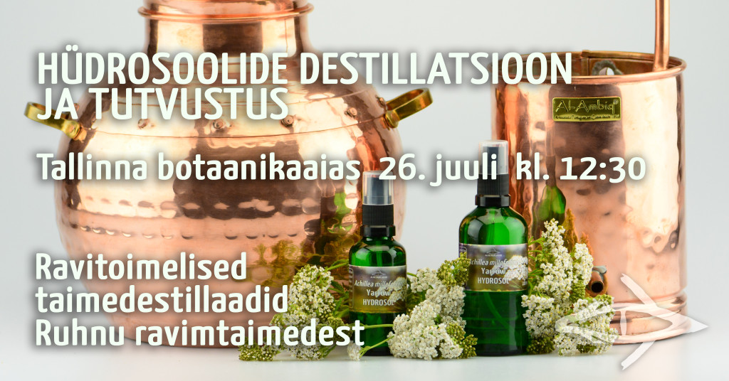 Hüdrosoolide destillatsioon ja tutvustus Tallinna botaanikaaias. Ravitoimelised taimedestillaadid Ruhnu ravimtaimedest.